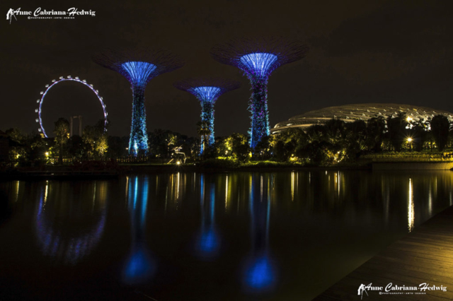 Singapore Gardens By The Bay and Flyer Night Shot