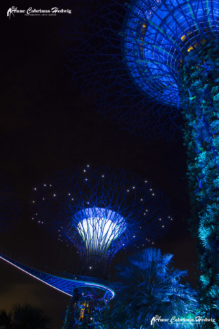 Singapore Supertree Gardens by the bay bluelights