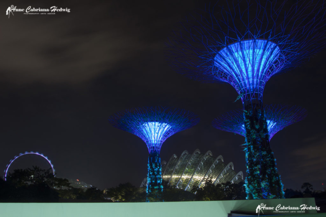 Singapore blue supertrees Gardens by the bay