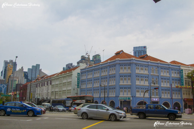 Singapore City Hotel 81