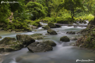 AC-H Kawasan Falls 01 copyright small_size