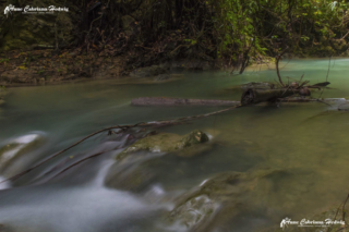 AC-H Kawasan Falls 02 copyright small_size
