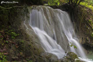 AC-H Kawasan Falls 03 copyright small_size