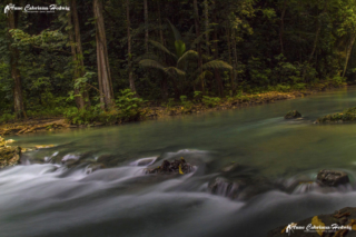 AC-H Kawasan Falls 05 copyright small_size