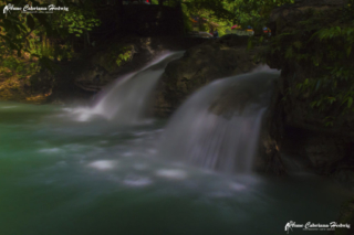 AC-H Kawasan Falls 09 copyright small_size