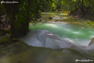 AC-H Kawasan Falls 10 copyright small_size