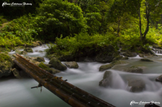 AC-H Kawasan Falls 13 copyright small_size
