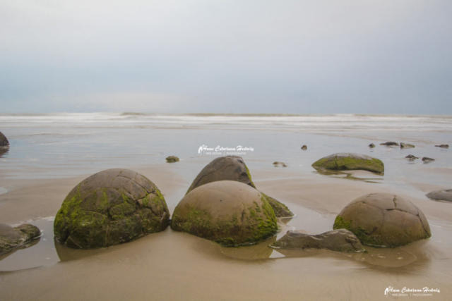 Moeraki Boulder