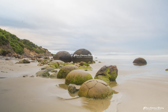 Moeraki Boulder