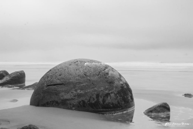 Moeraki Boulder B&W