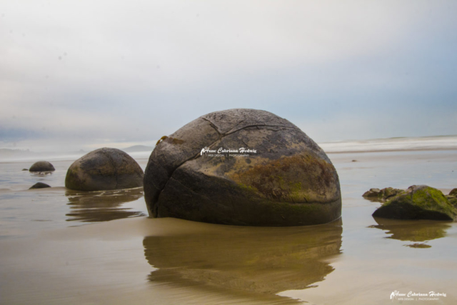Moeraki Boulder