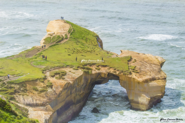 Tunnel Beach Dunedin, New Zealand