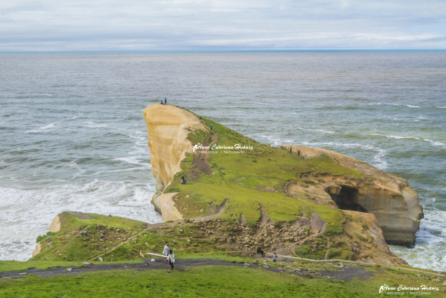 Tunnel Beach Dunedin, New Zealand