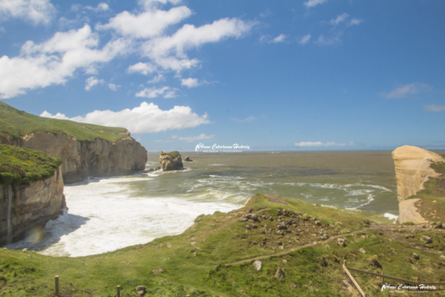 Cliffs at Tunnel Beach