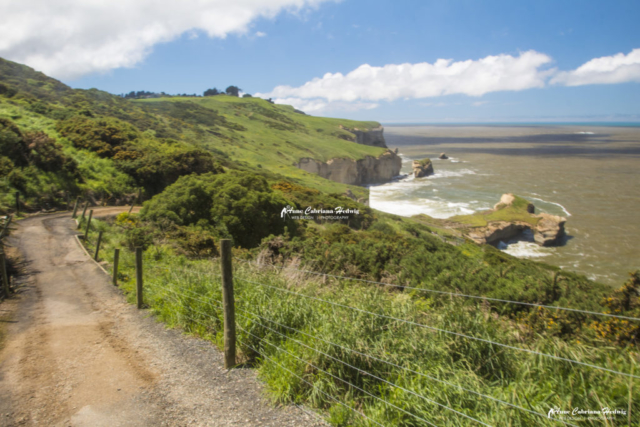 Trail going down to Tunnel Beach Dunedin, New Zealand
