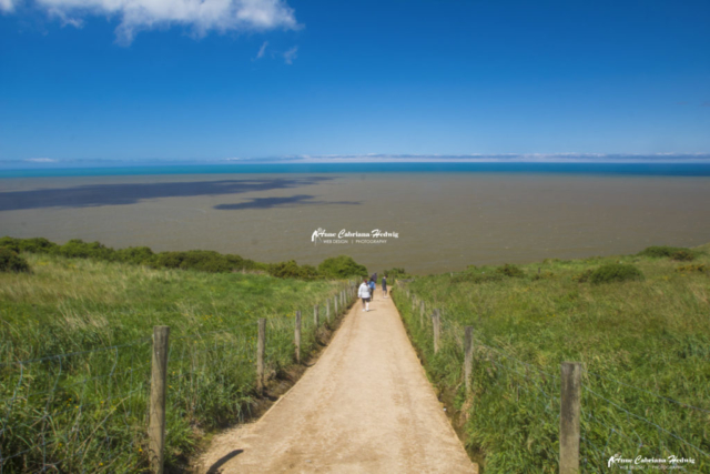 Trail going down to Tunnel Beach in Dunedin, New Zealand